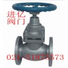 法兰柱塞阀—国标柱塞阀—柱塞阀系列