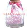 上海玻璃工艺瓶，漂流瓶，星星瓶