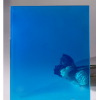 佛山8mm蓝色镀膜玻璃