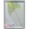 zw-601-2植物夹胶玻璃旭日梅兰